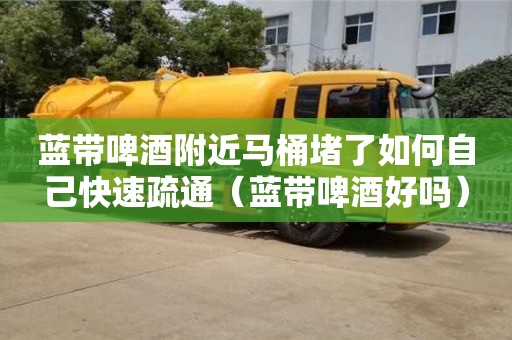 西安藍(lán)帶啤酒附近馬桶堵了如何自己快速疏通（藍(lán)帶啤酒好嗎）