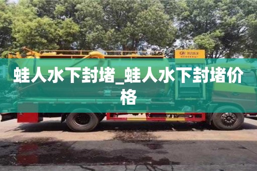 唐山蛙人水下封堵_蛙人水下封堵價格