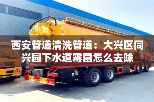 北京西安管道清洗管道：大興區(qū)同興園下水道霉菌怎么去除