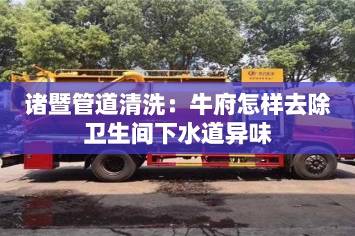北京諸暨管道清洗：牛府怎樣去除衛生間下水道異味