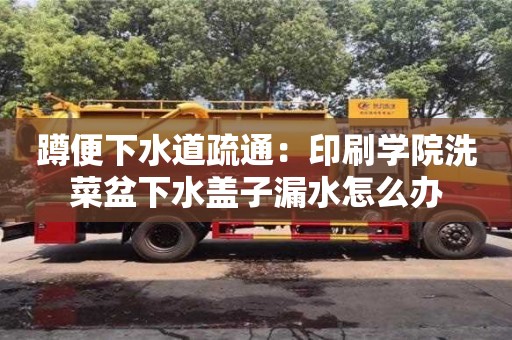 北京蹲便下水道疏通：印刷學院洗菜盆下水蓋子漏水怎么辦