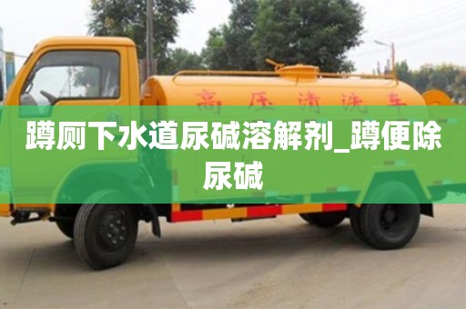 蹲廁下水道尿堿溶解劑_蹲便除尿堿 蹲廁下水道尿堿溶解劑_蹲便除尿堿