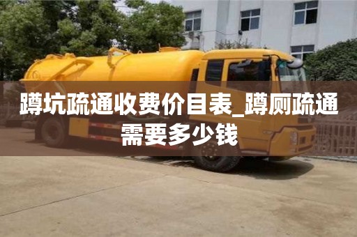 蹲坑疏通收費(fèi)價目表_蹲廁疏通需要多少錢