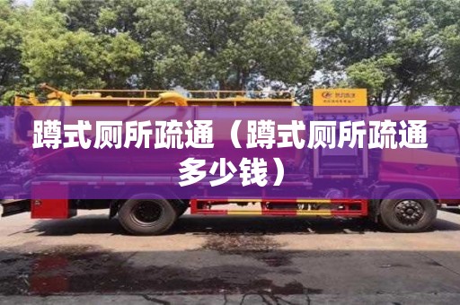 唐山蹲式廁所疏通（蹲式廁所疏通多少錢）