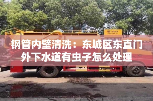 北京鋼管內壁清洗：東城區東直門外下水道有蟲子怎么處理