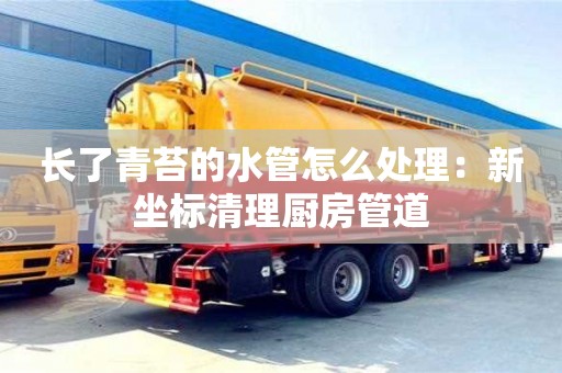 北京長(zhǎng)了青苔的水管怎么處理：新坐標(biāo)清理廚房管道