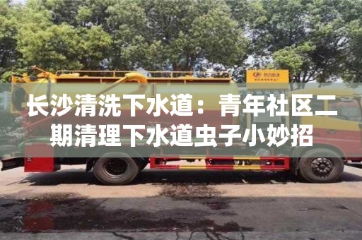 北京長沙清洗下水道：青年社區二期清理下水道蟲子小妙招