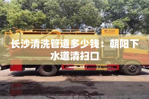北京長沙清洗管道多少錢：朝陽下水道清掃口