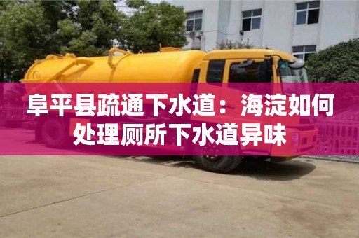 北京阜平縣疏通下水道：海淀如何處理廁所下水道異味