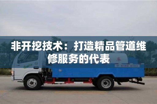 非開挖技術：打造精品管道維修服務的代表