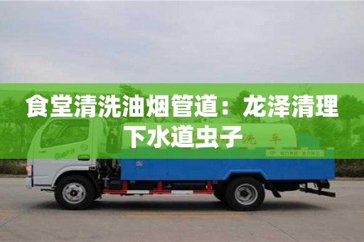 北京食堂清洗油煙管道：龍澤清理下水道蟲子