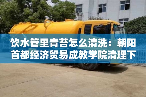 北京飲水管里青苔怎么清洗：朝陽首都經濟貿易成教學院清理下水道的小竅門