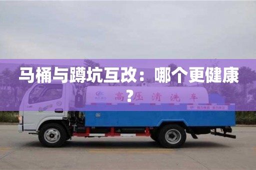 廣州馬桶與蹲坑互改：哪個更健康？