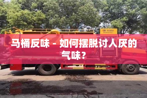 馬桶反味 - 如何擺脫討人厭的氣味？