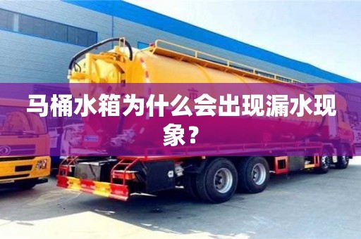 北京馬桶水箱為什么會(huì)出現(xiàn)漏水現(xiàn)象？