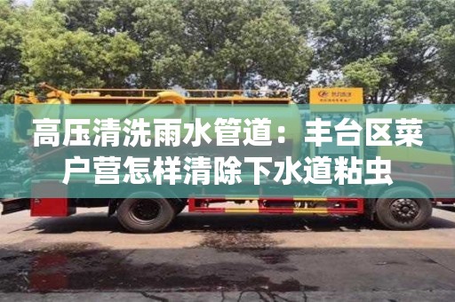 北京高壓清洗雨水管道：豐臺區菜戶營怎樣清除下水道粘蟲