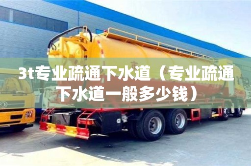 3t專業(yè)疏通下水道（專業(yè)疏通下水道一般多少錢）