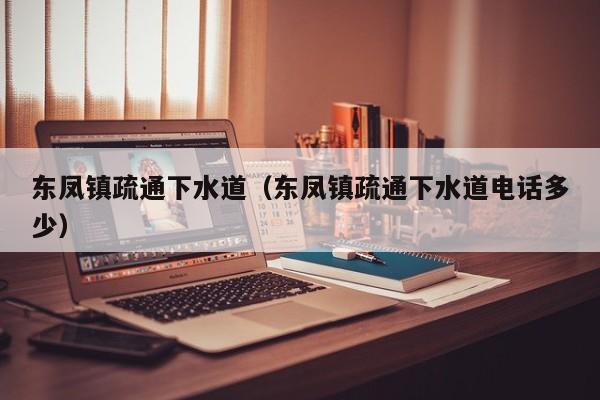北京東鳳鎮(zhèn)疏通下水道（東鳳鎮(zhèn)疏通下水道電話多少）