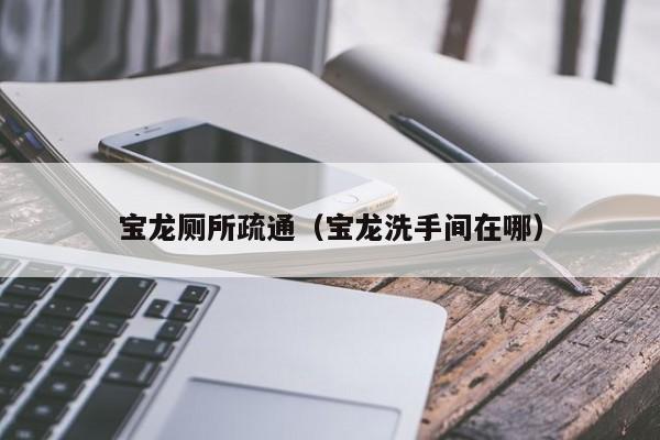 北京寶龍廁所疏通（寶龍洗手間在哪）