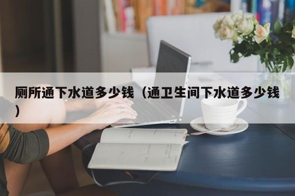 北京廁所通下水道多少錢（通衛生間下水道多少錢）