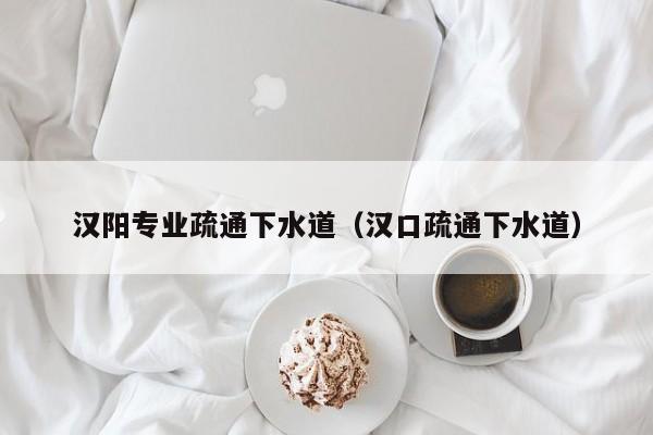 北京漢陽專業疏通下水道（漢口疏通下水道）